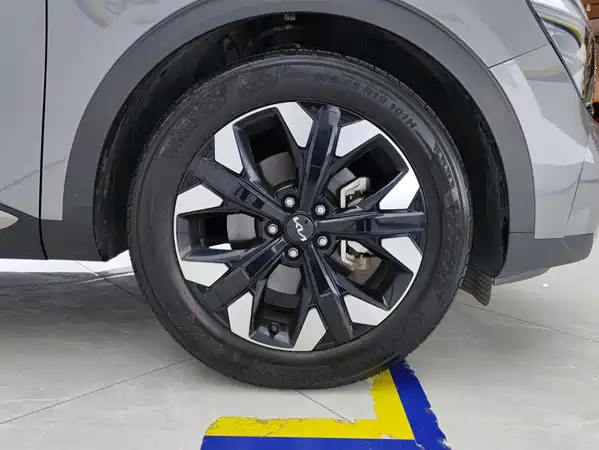 Kia Lion Platinum Expands The Boundary 2024