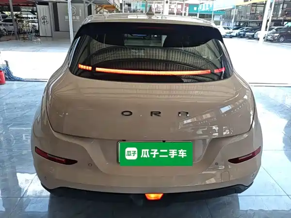 Ora Good Cat 2022