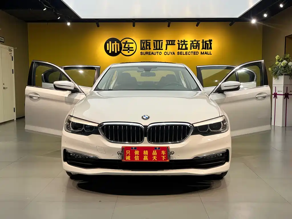BMW 5 Series 2018 — фото 9