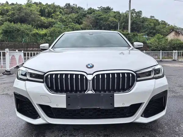 BMW 5 Series 2021