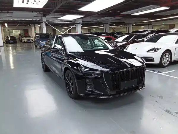 Hongqi H5 2024