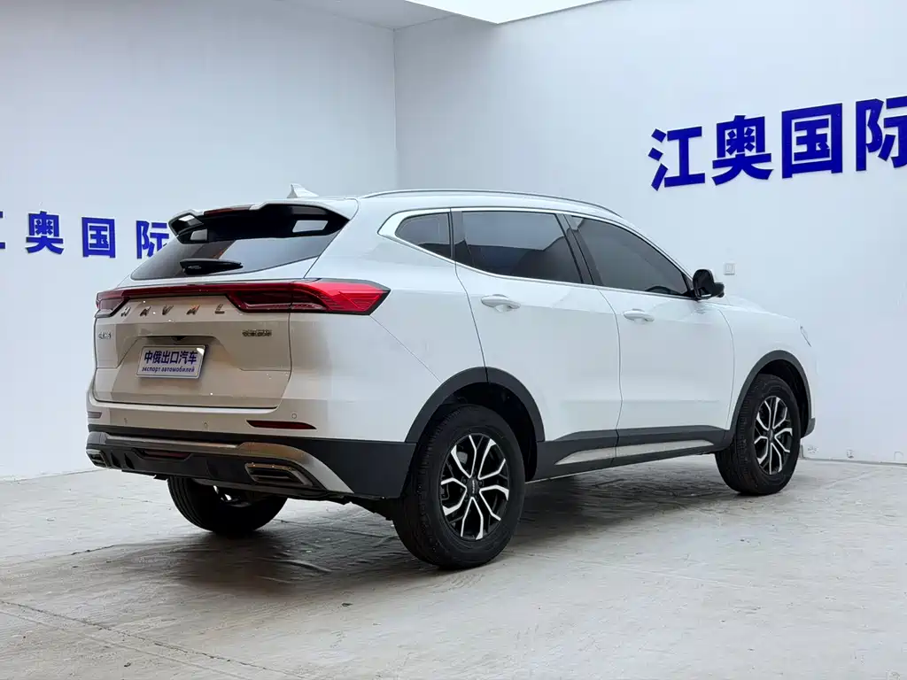 Haval H6 2023 — фото 18