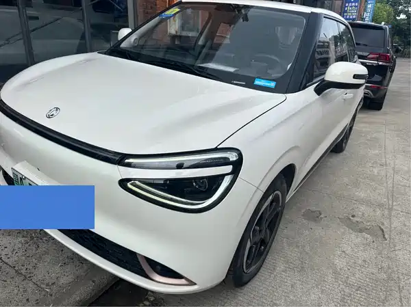 Dongfeng Nano 01 2025