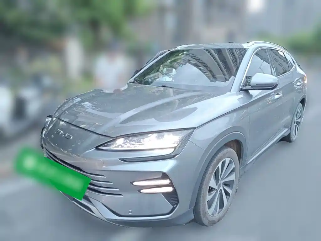 BYD Song PLUS New Energy 2024 — фото 2
