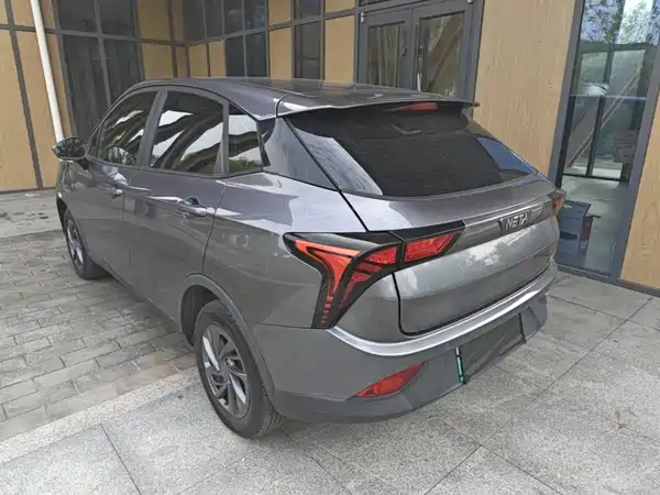 Neta V 2022