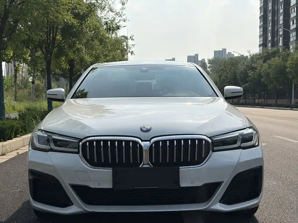 BMW 5 Series 2021 — фото 18