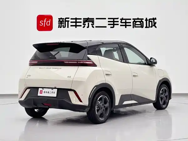 BYD Seagull 2024