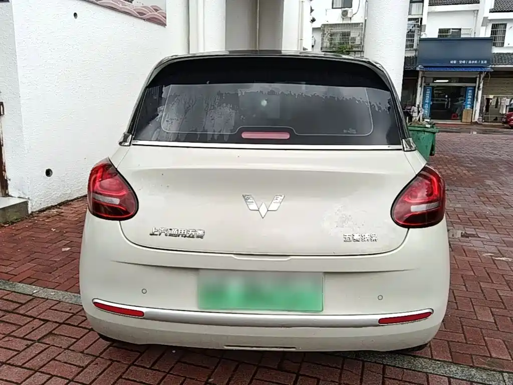 Wuling Bingo 2024