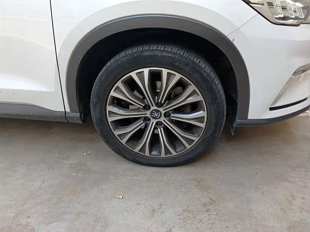 BYD Pro New Energy 2020 — фото 26