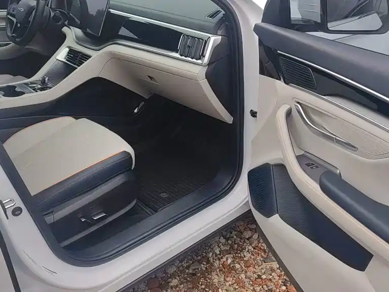 BYD PLUS New Energy 2023 — фото 15