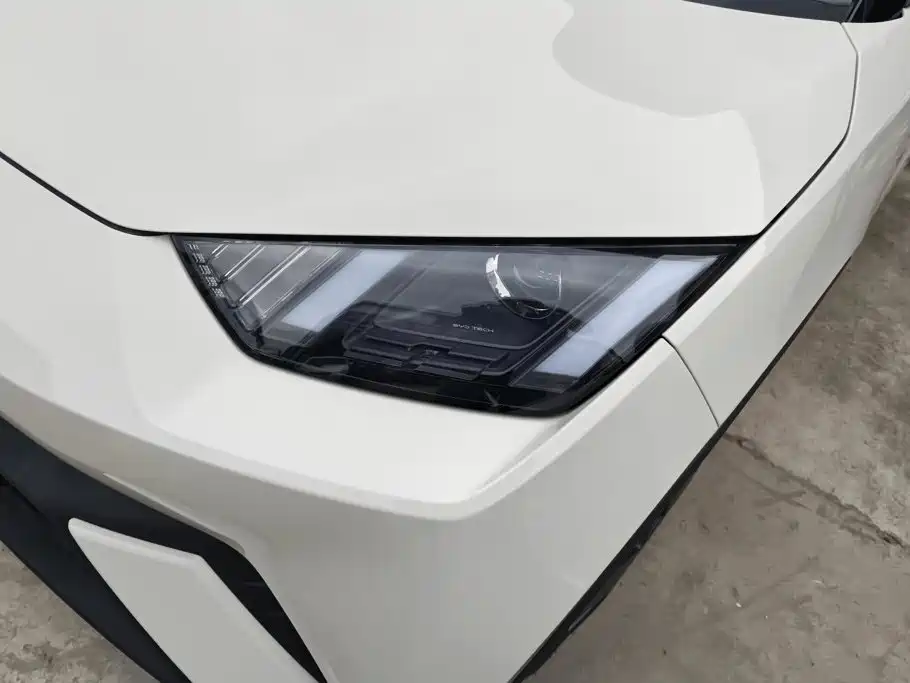 BYD Seagull 2024