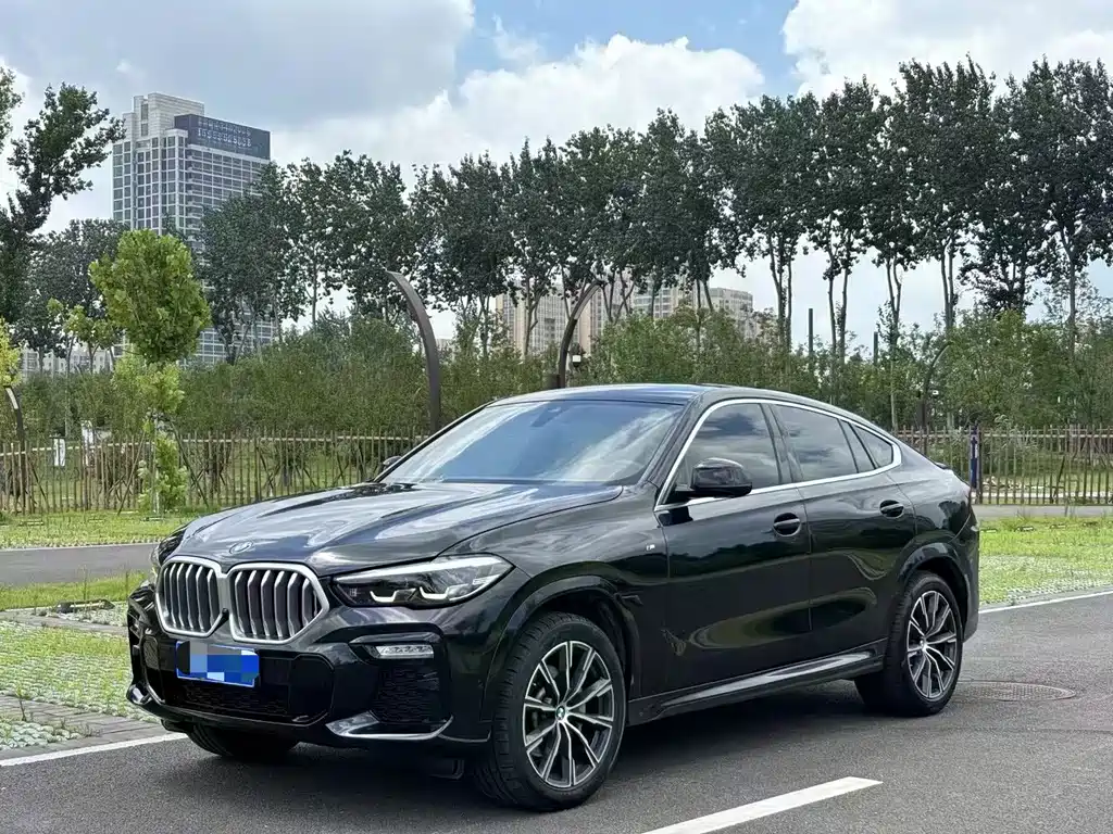 BMW X6 2020 — фото 1