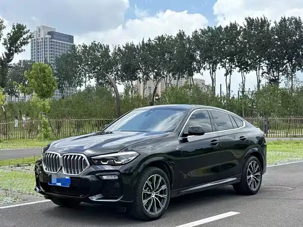 BMW X6 2020