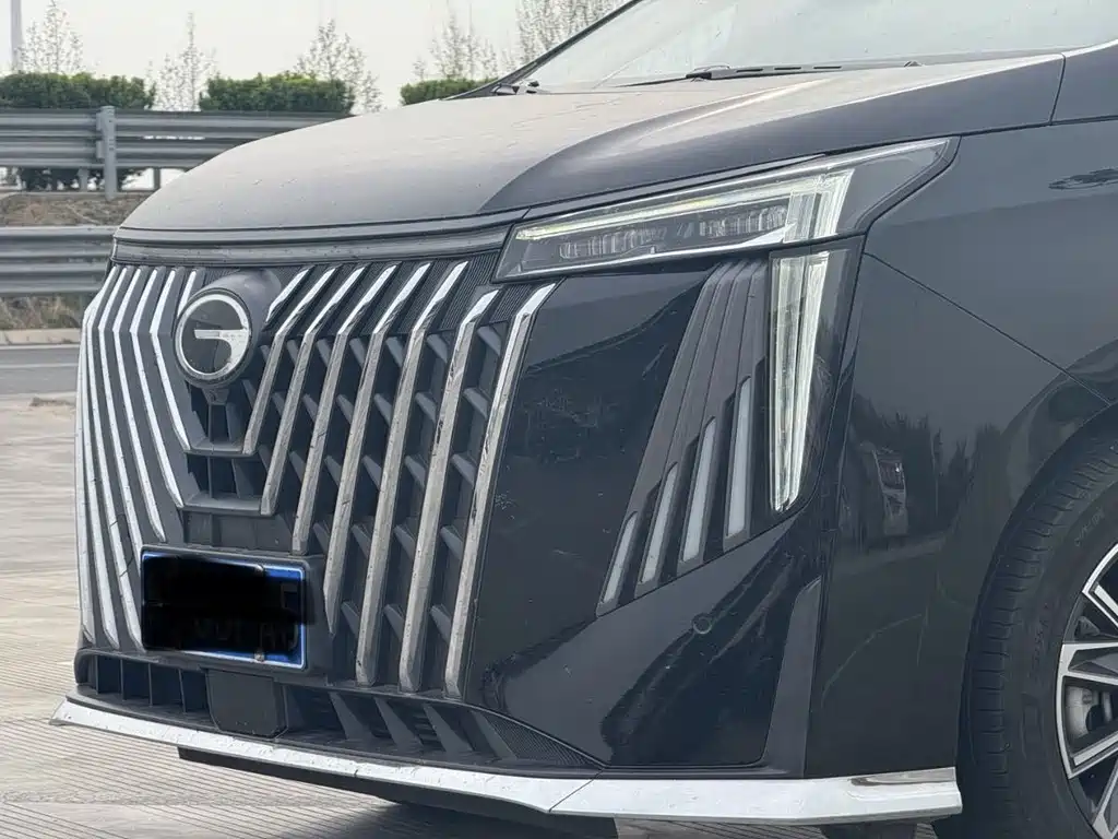 GAC Motor Trumpchi M8 2024 — фото 10