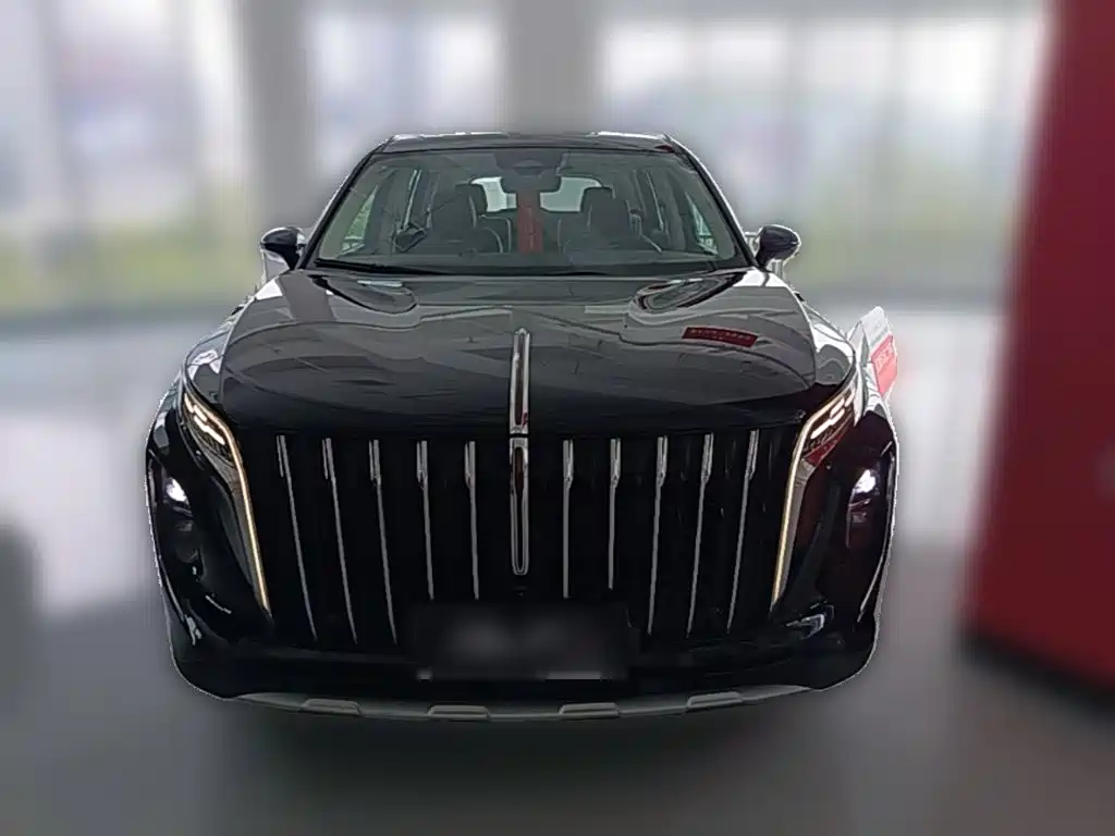Hongqi HS7 PHEV 2024 — фото 5