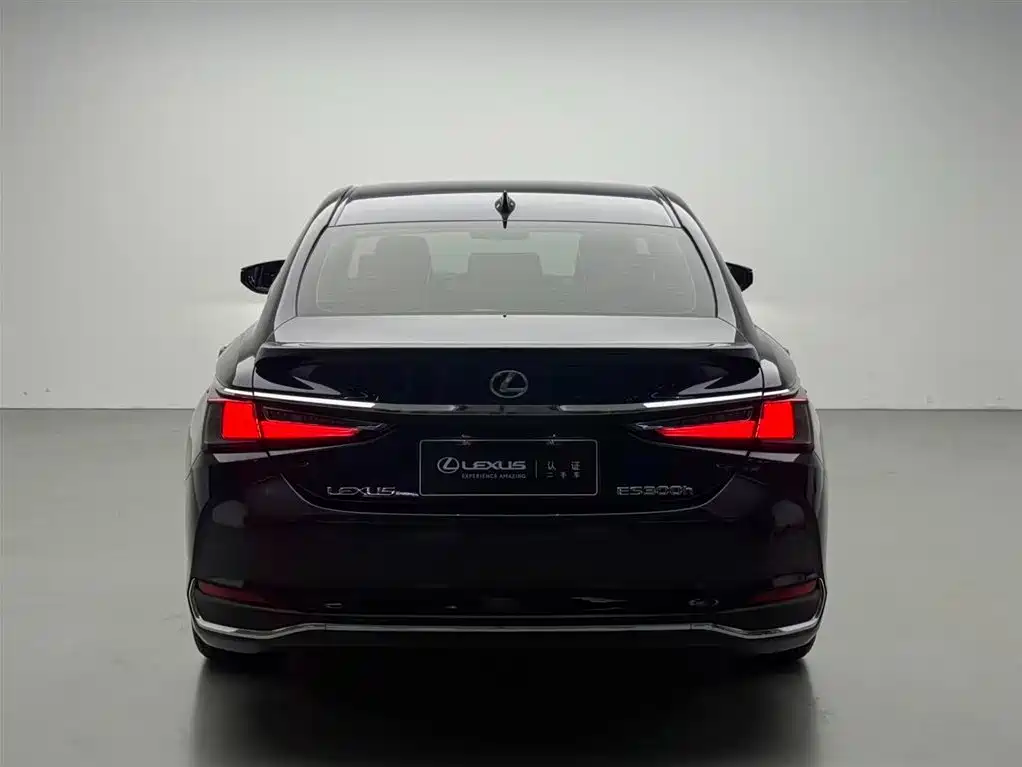 Lexus ES 2019 — фото 17