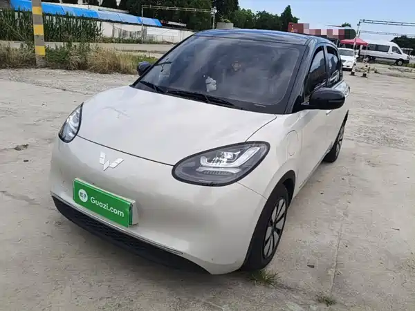 Wuling Bingo 2024