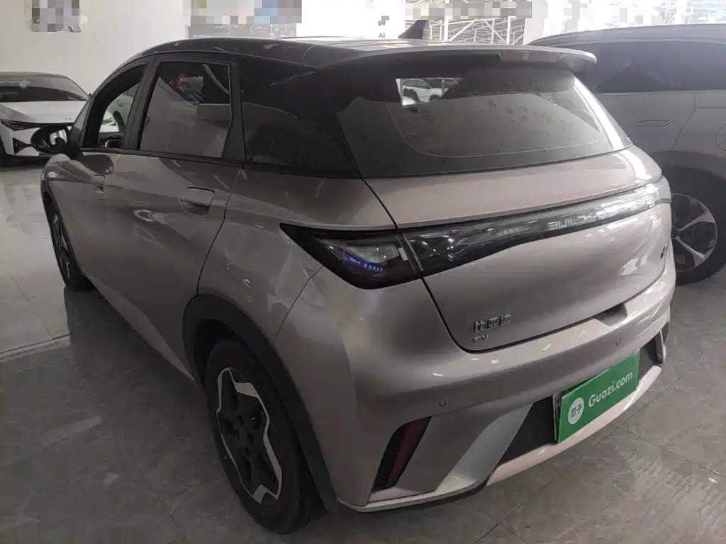BYD Dolphin 2022
