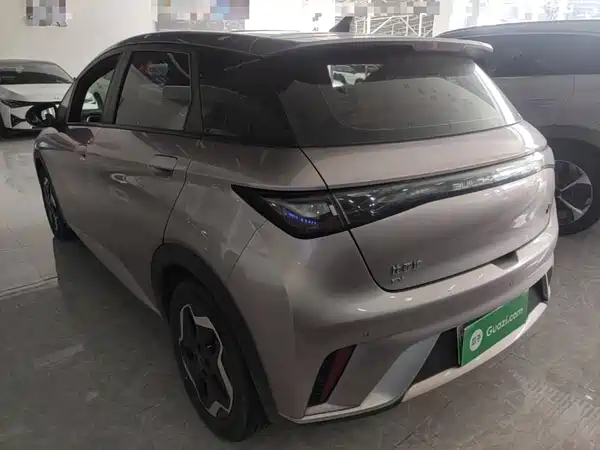 BYD Dolphin 2022