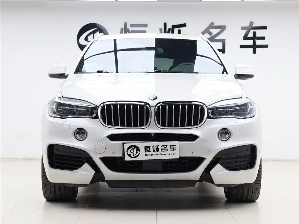 BMW X6 2016 — фото 31