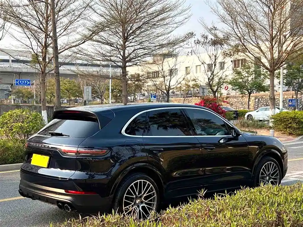 Porsche Cayenne 2020 — фото 14