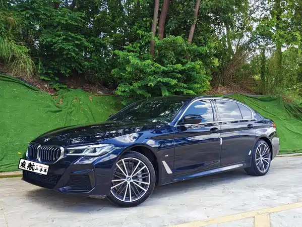 BMW 5 Series 2021