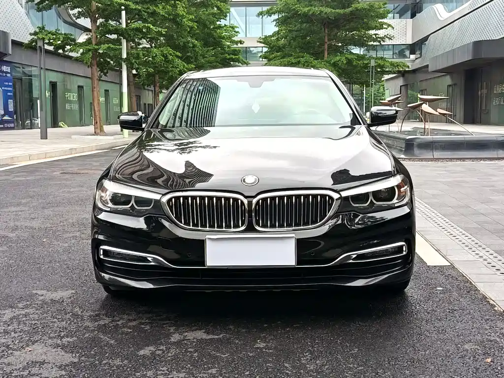 BMW 5 Series 2019