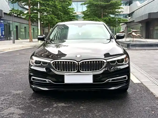 BMW 5 Series 2019