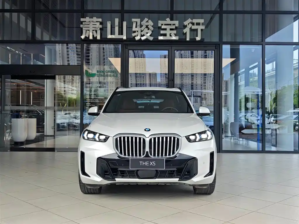 BMW X5 — фото 2