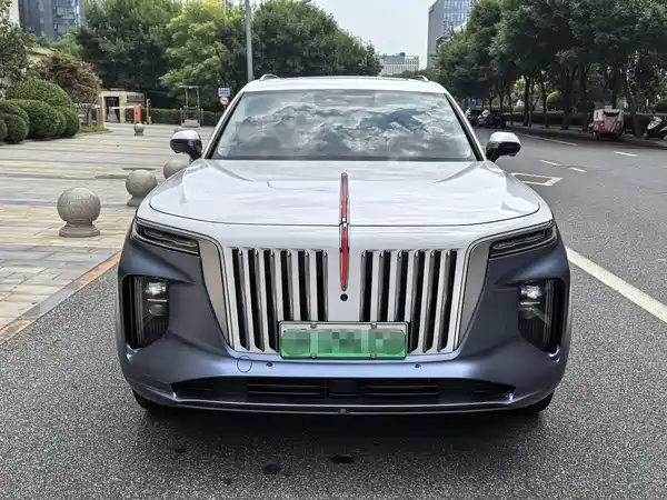Hongqi E-HS9 2023