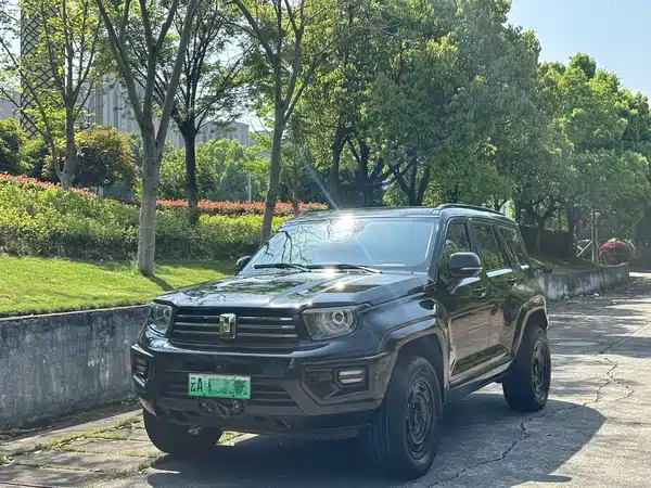 Tank 700 New Energy 2024