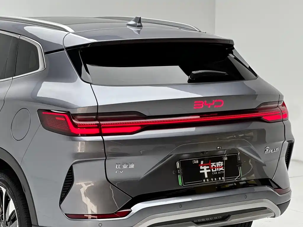BYD PLUS New Energy 2024 — фото 12