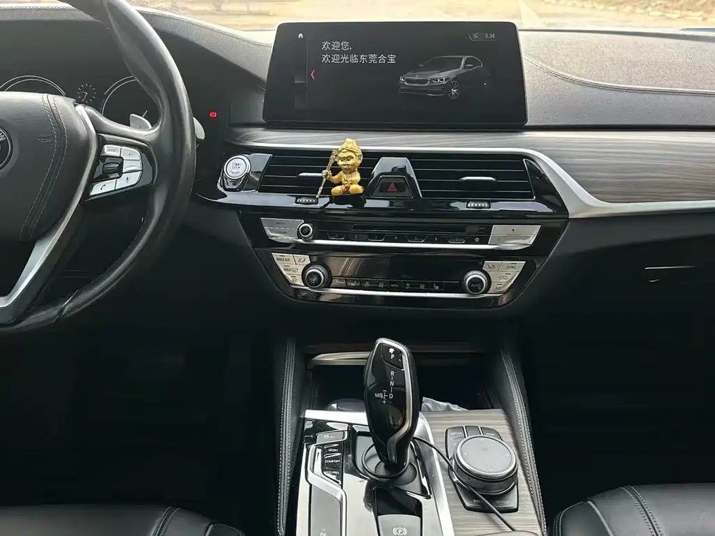 BMW 5 Series 2018 — фото 14