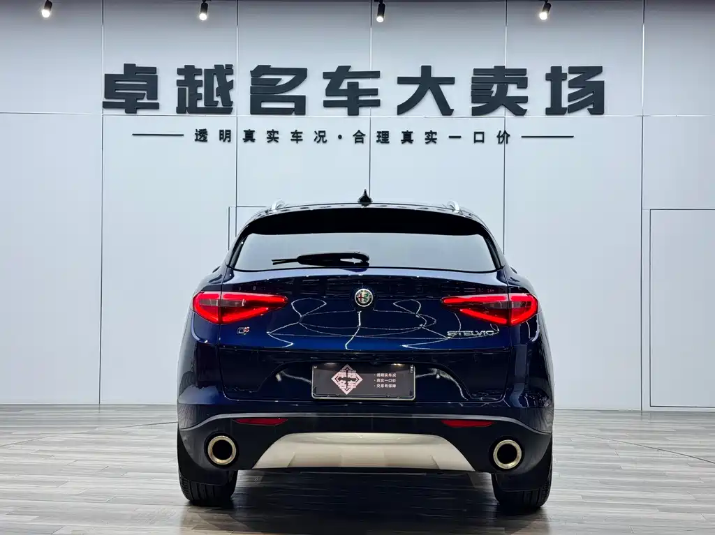 Alfa Romeo Stelvio 2019 — фото 6