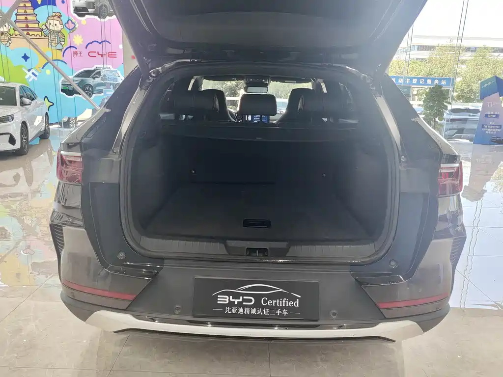 BYD Song PLUS New Energy 2023 — фото 16