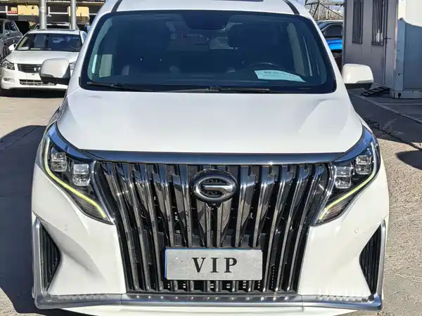 GAC Trumpchi M8 2020