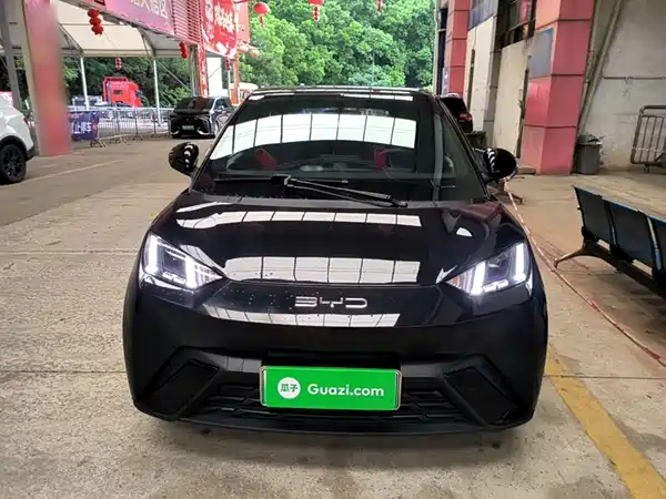 BYD Seagull 2024