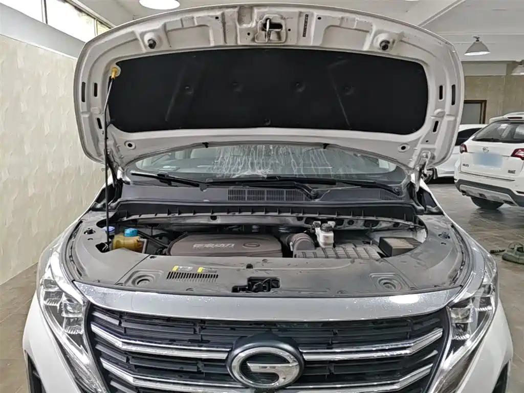 GAC Motor Trumpchi M8 2023 — фото 20