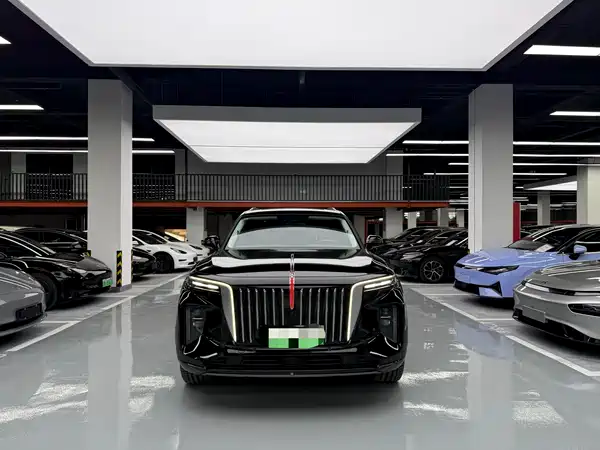 Hongqi E-HS9 2023