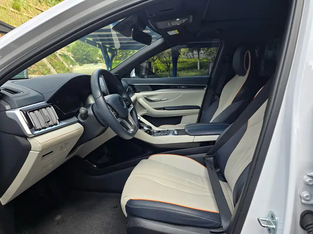 BYD PLUS New Energy 2022 — фото 14