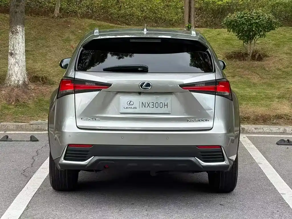 Lexus NX 2021 — фото 8