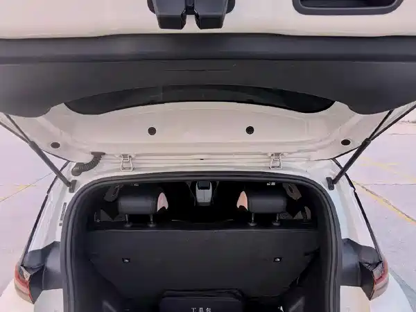 BYD Seagull 2024