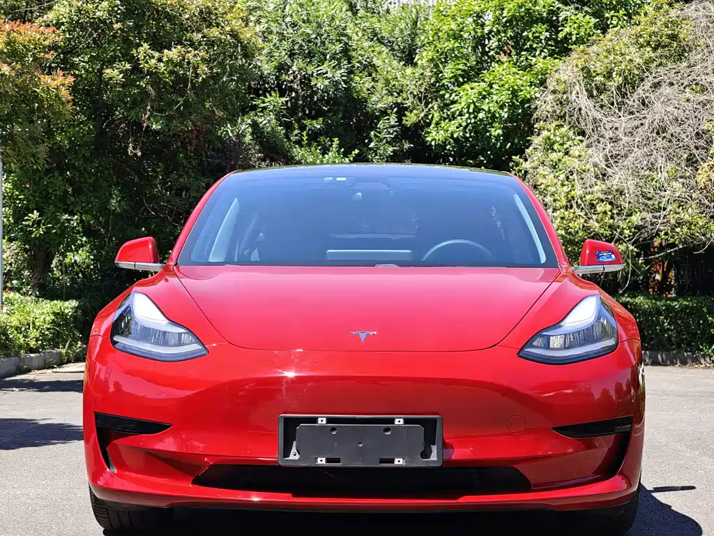 Tesla Model 3 2020 — фото 2
