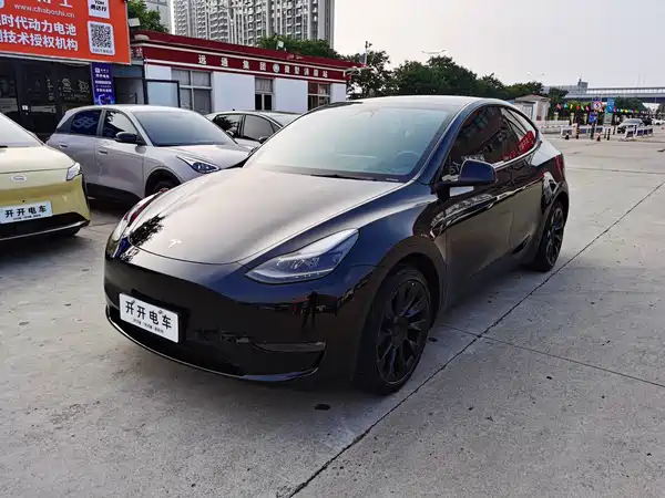 Tesla Model Y 2021