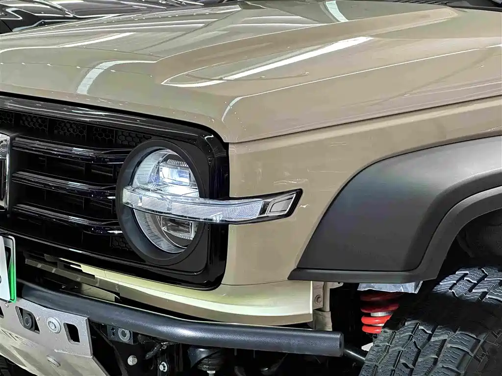 Tank 300 New Energy 2025