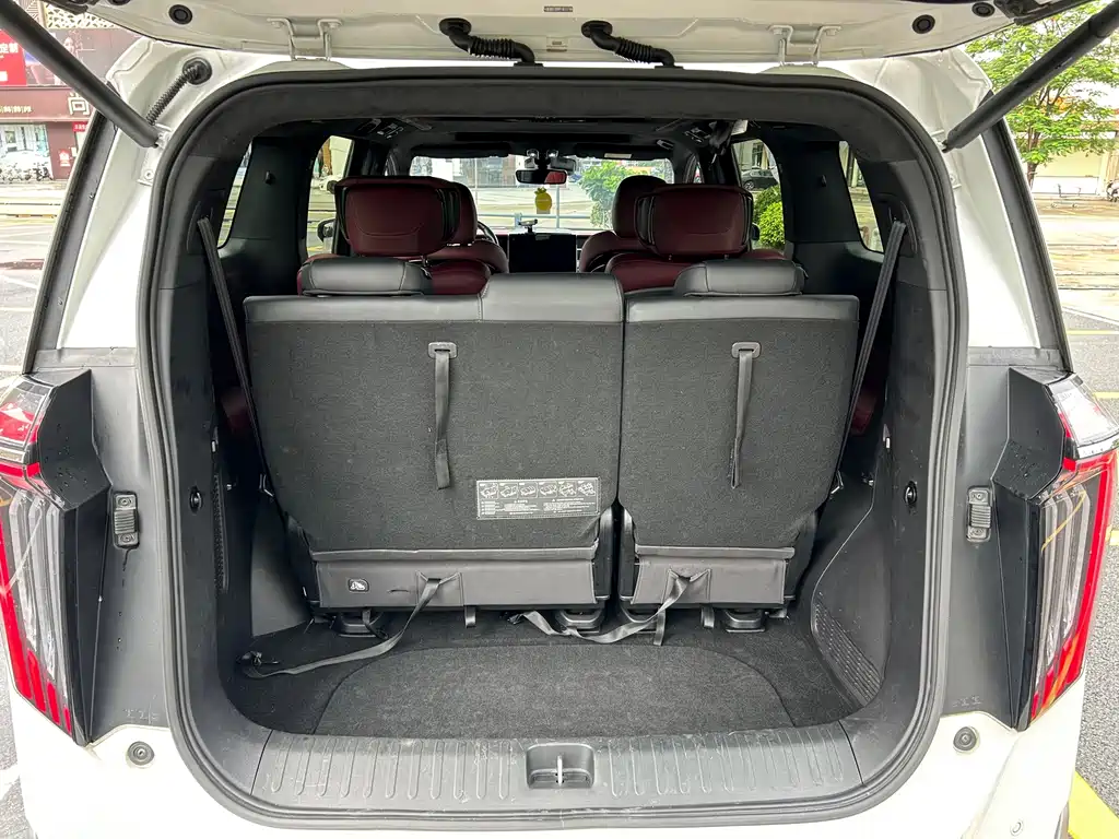GAC Trumpchi M8 2023 — фото 12