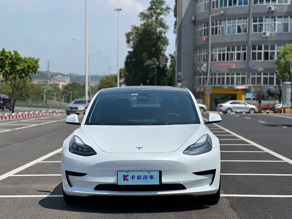 Tesla Model 3 2022 — фото 2