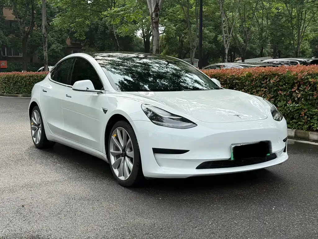 Tesla Model 3 2020 — фото 3