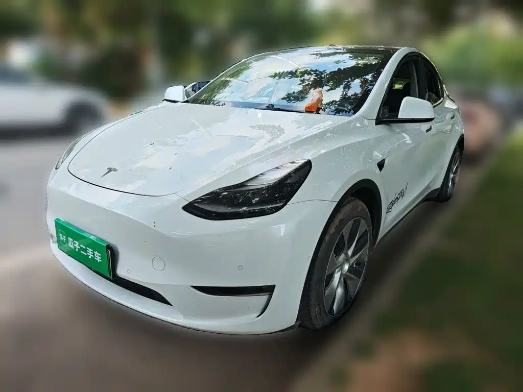 Tesla Model Y 2021 — фото 1
