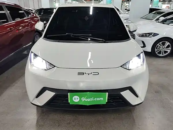 BYD Seagull 2024